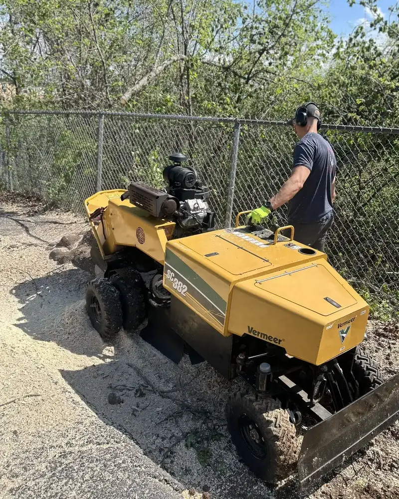 K2 Stump Grinding crew member in ear protection operating a Vermeer stump grinder along a chain-link fence