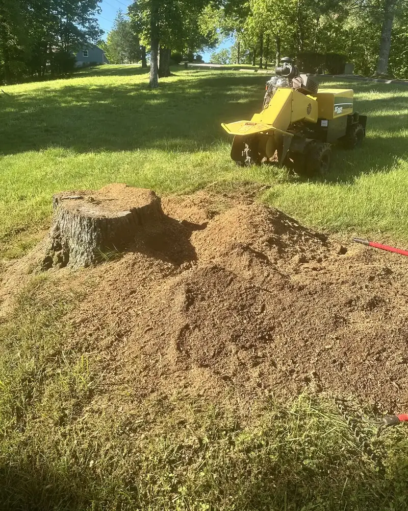 K2 stump grinder on a sunny lawn next to a partly ground tree stump and a pile of fresh wood chips