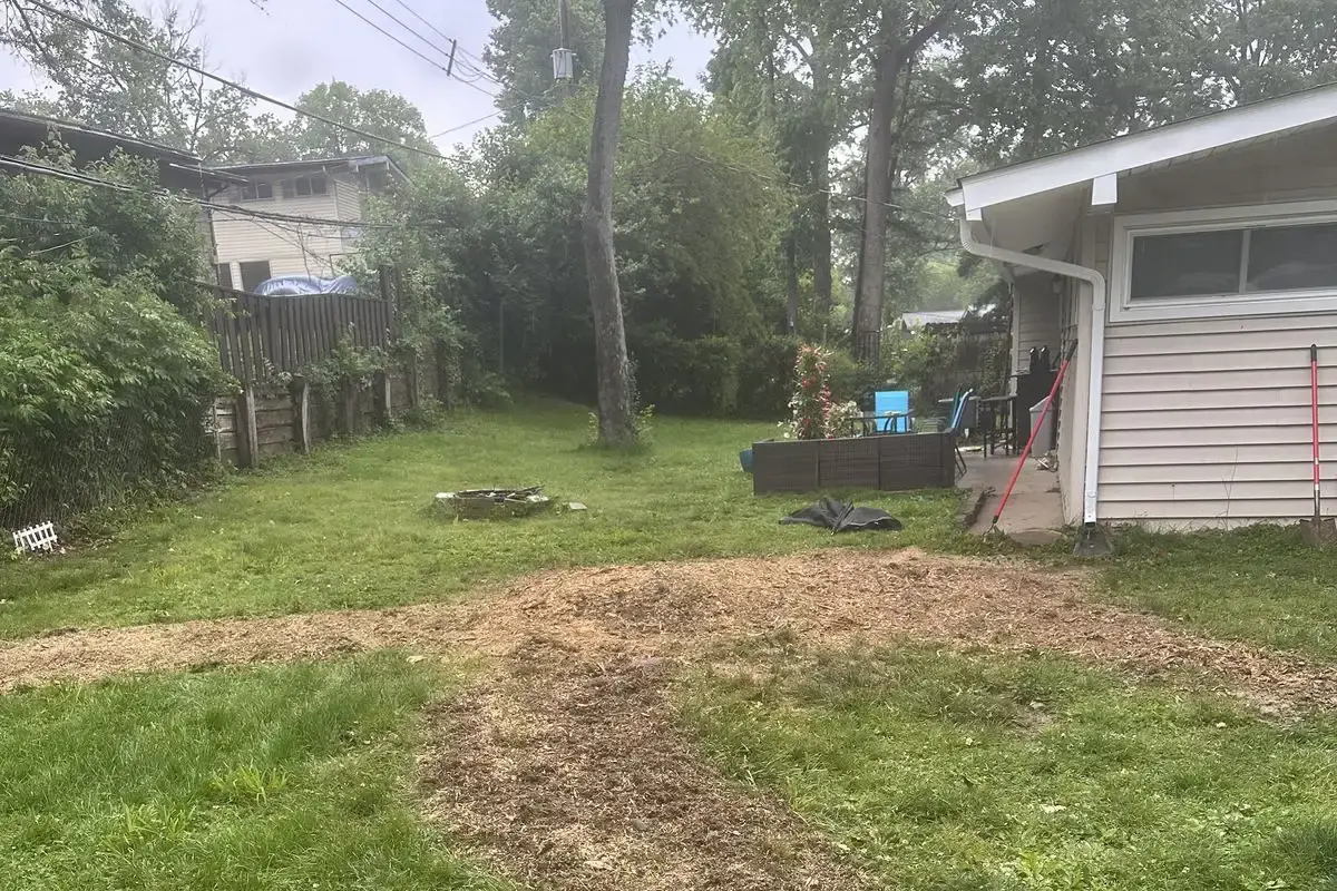 Backyard lawn beside a house after K2 ground out a stump and its long surface roots