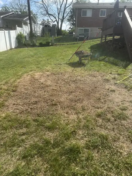 Backyard lawn with a patch of ground soil where a stump was removed