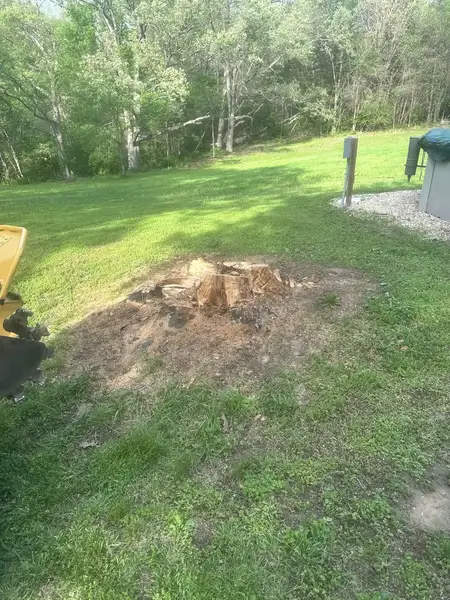 Stump partly ground down in a backyard near a wooded edge
