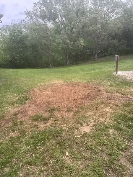 Patch of fresh soil in a backyard where a stump was ground out