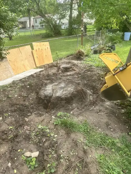 Stump grinder at an old stump beside plywood fence boards