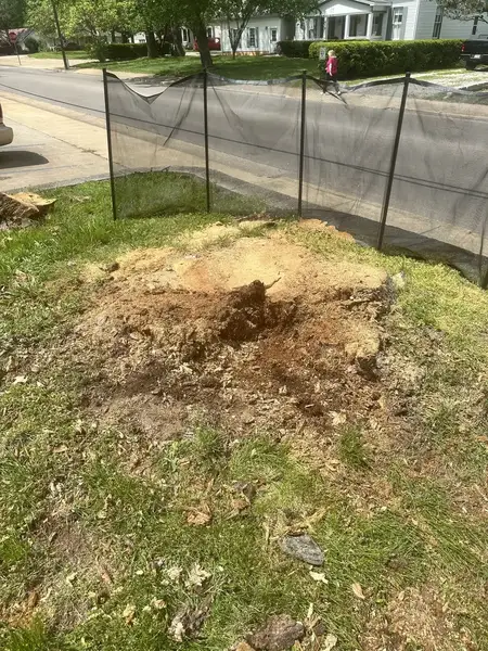 Stump in a front yard behind a black safety screen near the street