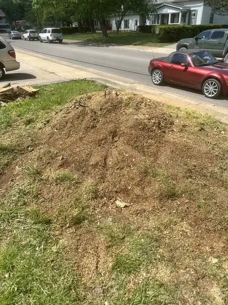 Mound of ground soil and chips in a front yard by the street