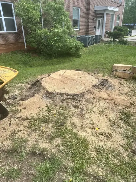 Large stump being ground beside a brick apartment building