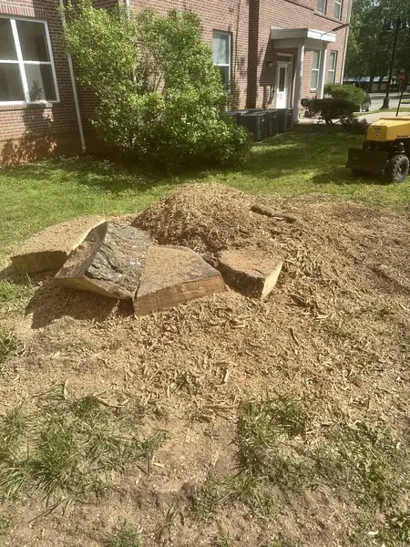 Stump chunks and wood chips beside a brick building during grinding