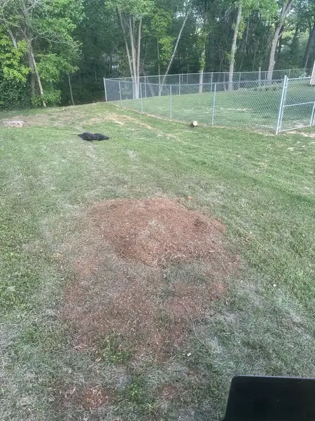 Ground-out patch on a lawn near a chain-link fence