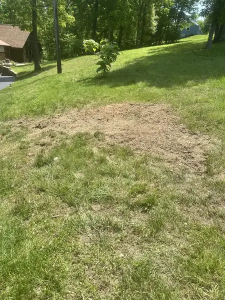 Sloped backyard with a ground-out patch where a stump stood