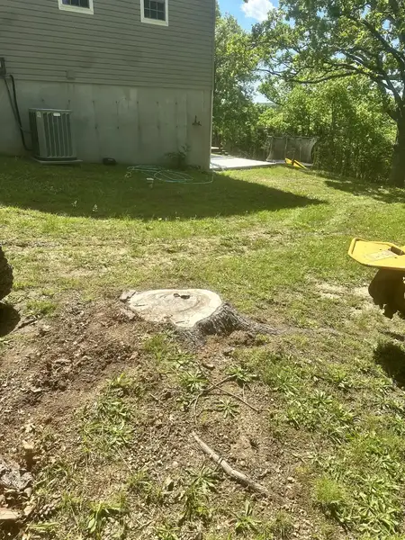 Stump grinder at a low stump next to a house