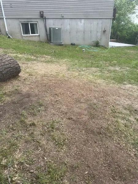 Large ground-out area behind a house after stump removal