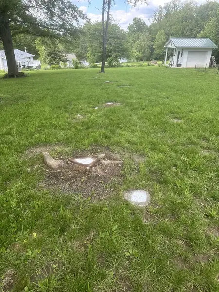 Low stump in a large open lawn with a shed in the distance