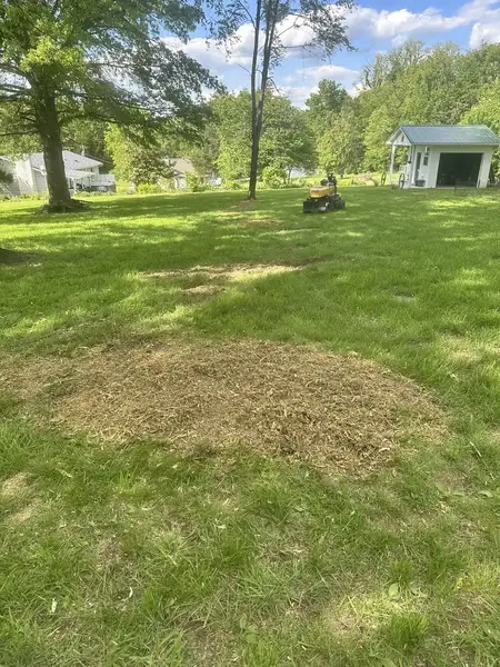 Wood chip patch in a large lawn where a stump was ground out