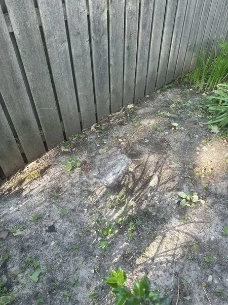Old stump in a corner along a wooden fence
