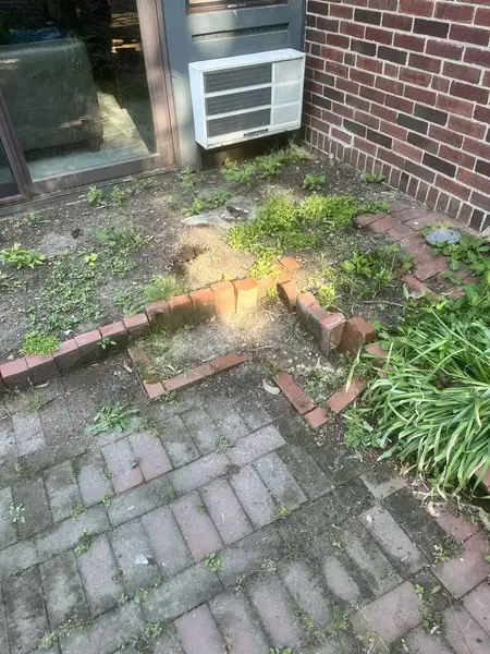 Stump in a brick-edged garden bed by a patio door