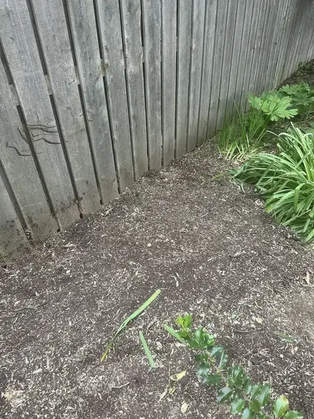 Cleared bed along a wooden fence after stump grinding