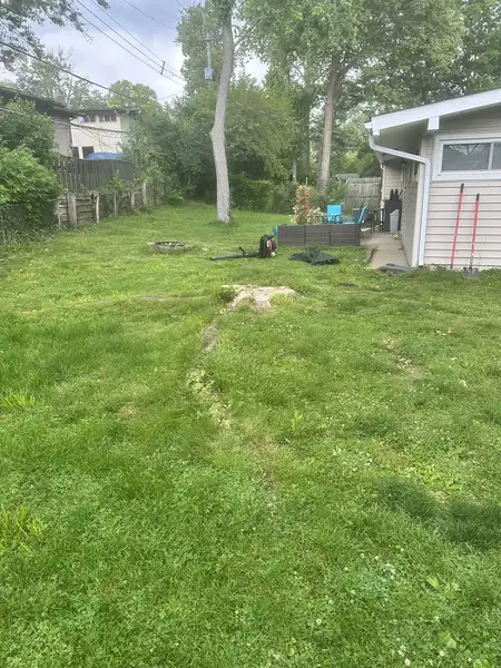 Stump with a long surface root running across a backyard lawn