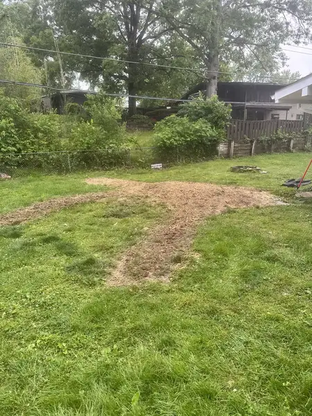 Ground-out root lines across a backyard lawn