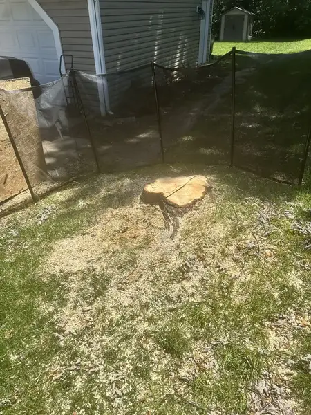 Stump behind a safety screen next to a house