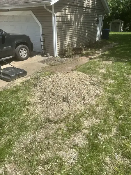 Wood chips beside a garage and driveway after stump grinding