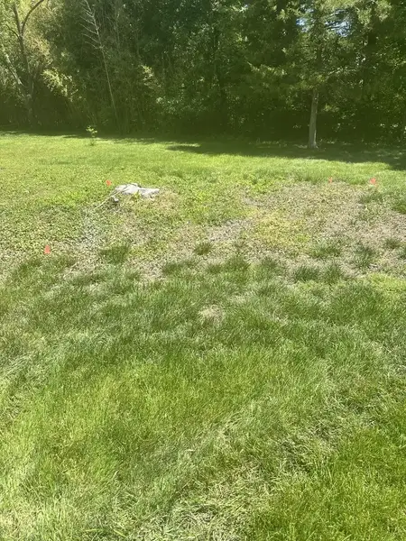 Ground-out patch in a lawn near the woods