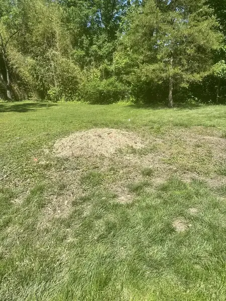 Wood chip patch in a lawn near the woods