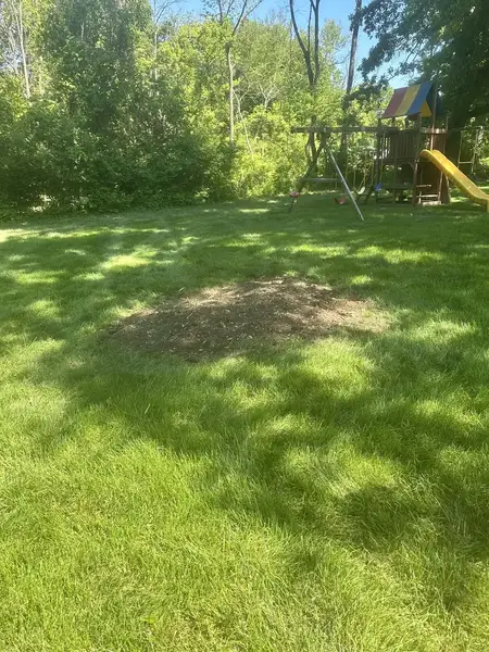Wood chip patch in a backyard lawn with a playset