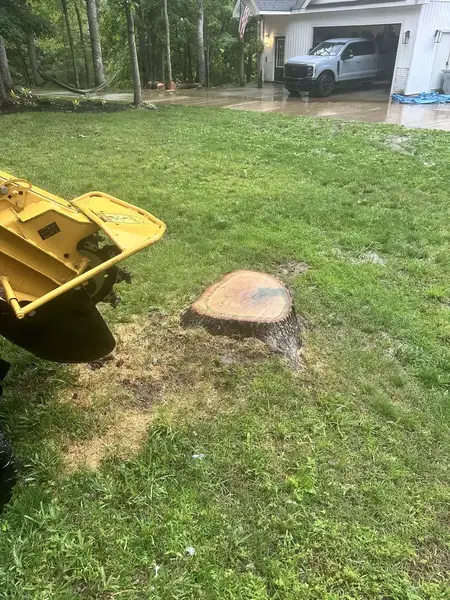 Stump grinder beside a fresh-cut stump in a front lawn