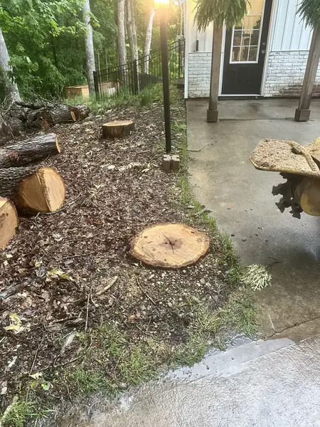 Fresh-cut stump and logs next to a concrete patio