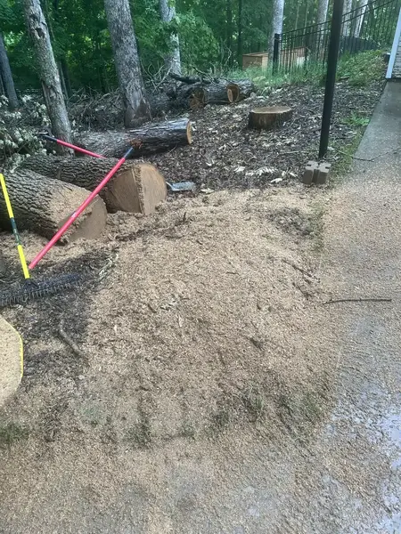 Wood chip pile next to a patio after stump grinding