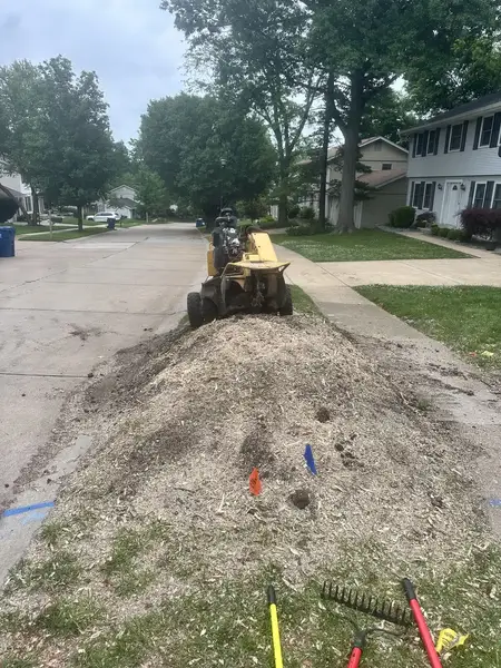 Stump grinder working at the end of a chip pile by the street
