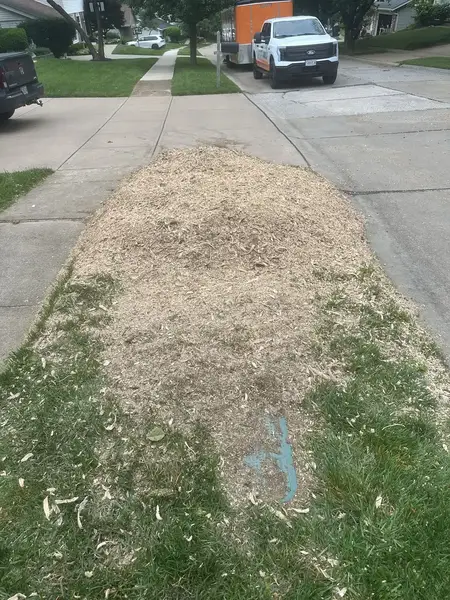 Strip of wood chips in a tree lawn after stump grinding
