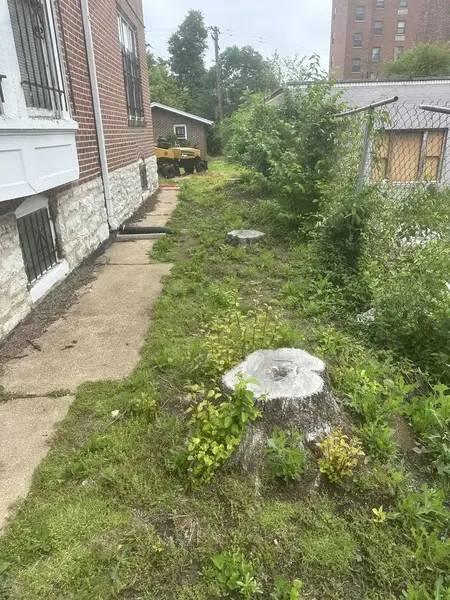 Stump in a side yard between houses