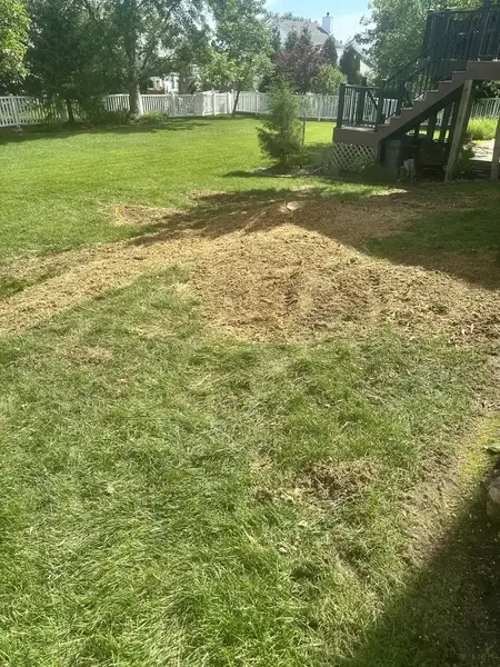 Wood chip area in a backyard near a deck