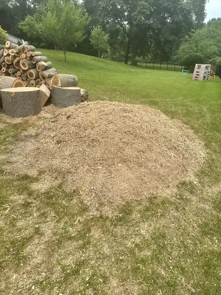 Wood chip mound with log rounds nearby