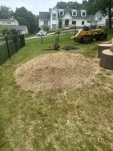 Wood chip mound in a fenced backyard with the grinder behind it