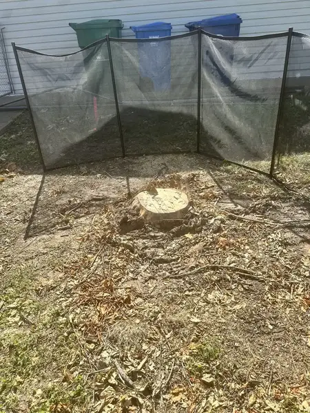 Stump behind a safety screen near trash bins