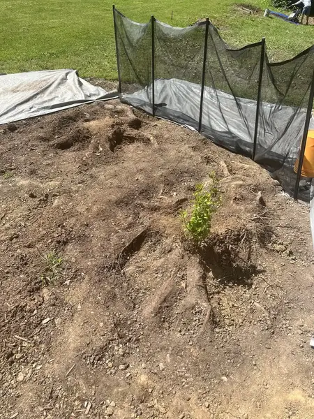 Ground-out area with a tarp protecting the nearby lawn