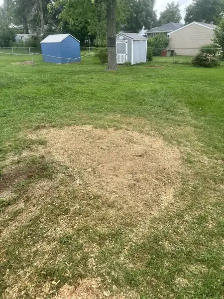 Wood chip patch in a backyard by the sheds