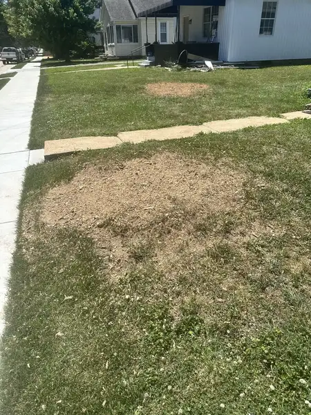 Wood chip patch in a front yard by the sidewalk