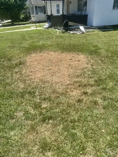 Wood chip patch in a front lawn
