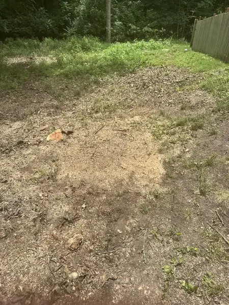 Ground-out area in a wooded yard