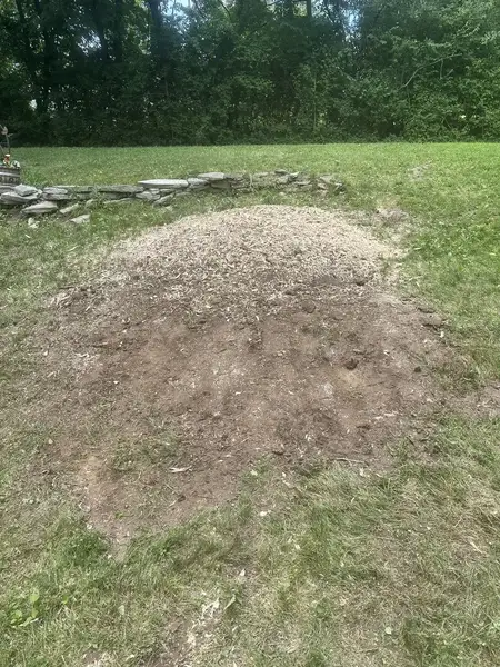 Wood chip mound beside a stone wall