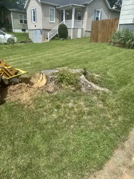 Stump grinder at a stump in a front lawn