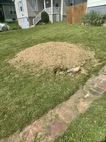 Wood chip mound in a front lawn by a brick walkway