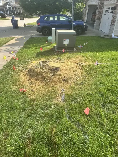 Stump in a front lawn marked with utility flags