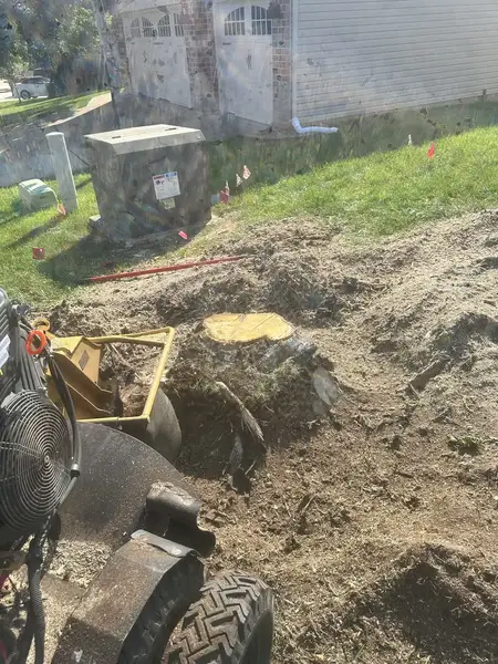 Stump grinder digging into a stump by a utility box