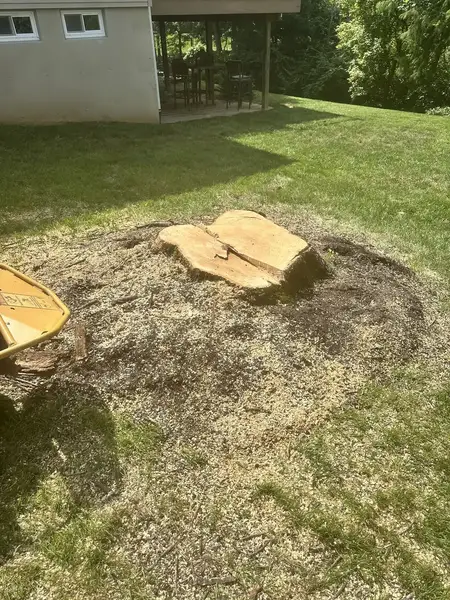 Large stump partly ground with the grinder beside it