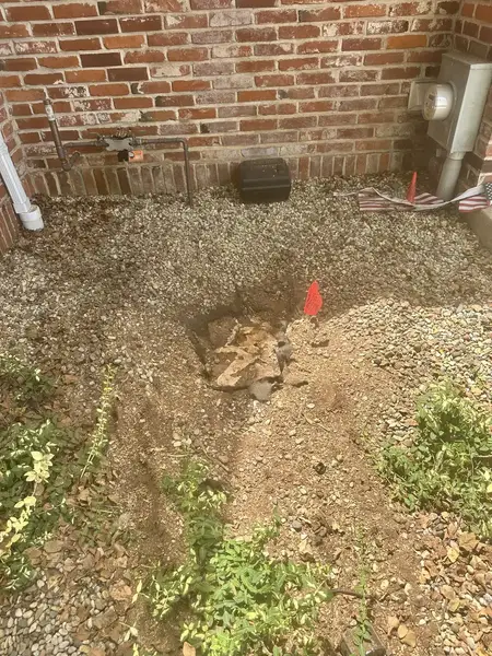 Stump against a brick wall with utility flags