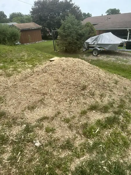 Large wood chip mound in a yard